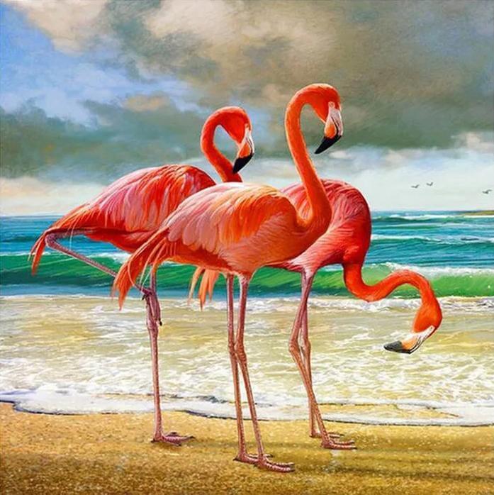 Flamingo Paint By Numbers UK