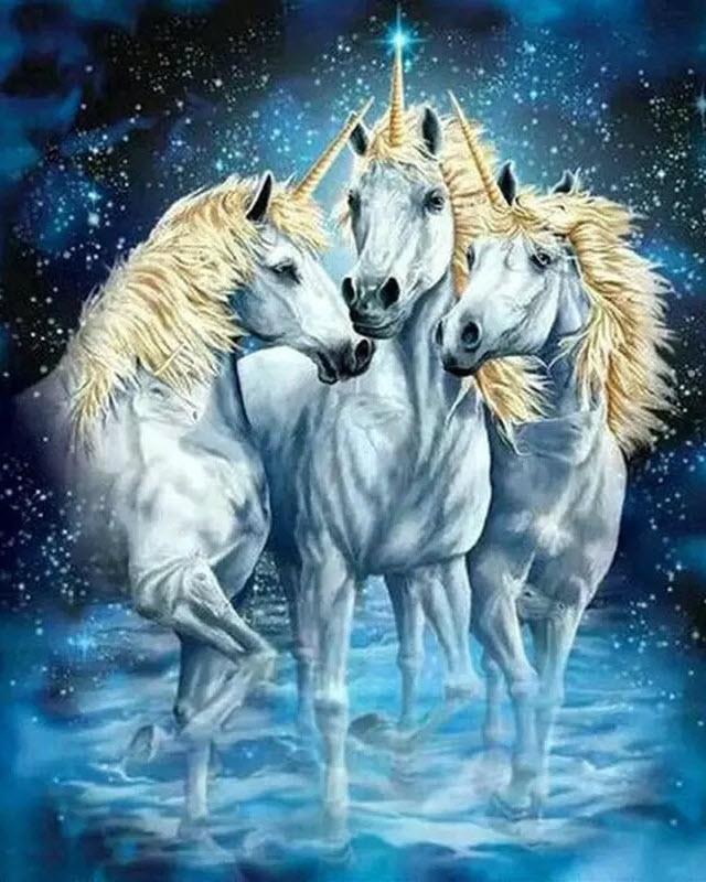 Animal Paint By Numbers Kits UK For Adult WH-3023