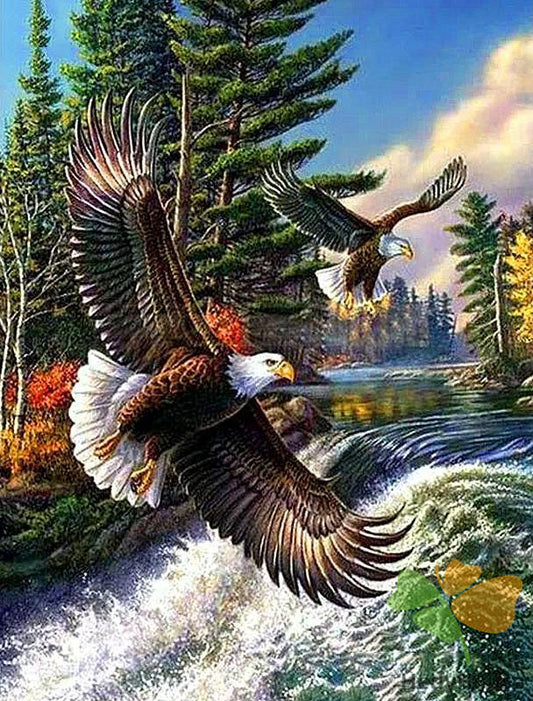 Birds Paint By Numbers Kits UK WH-3044