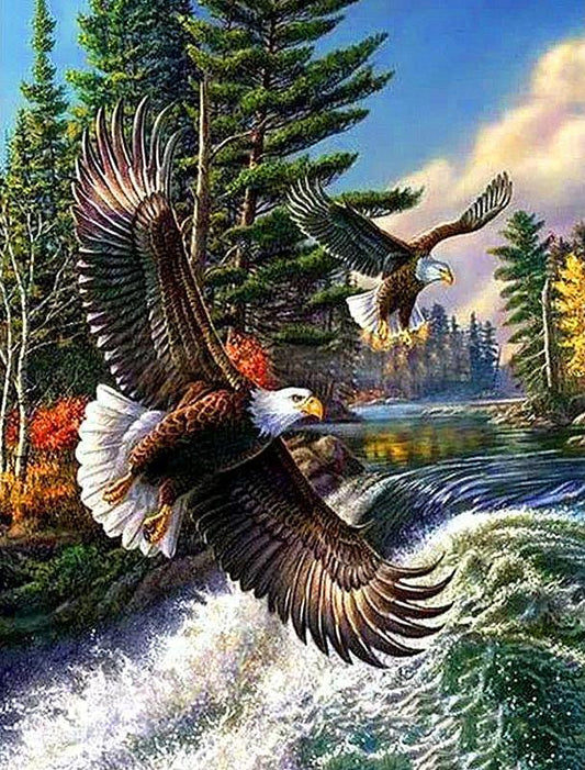 Bird Paint By Numbers Kits UK WH-3044