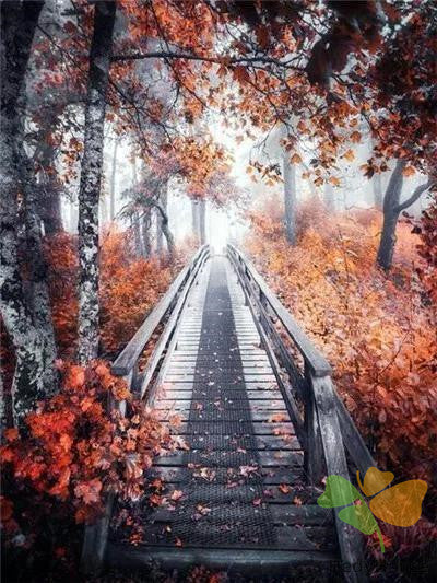 Nature Paint By Numbers Kits UK WH-3049