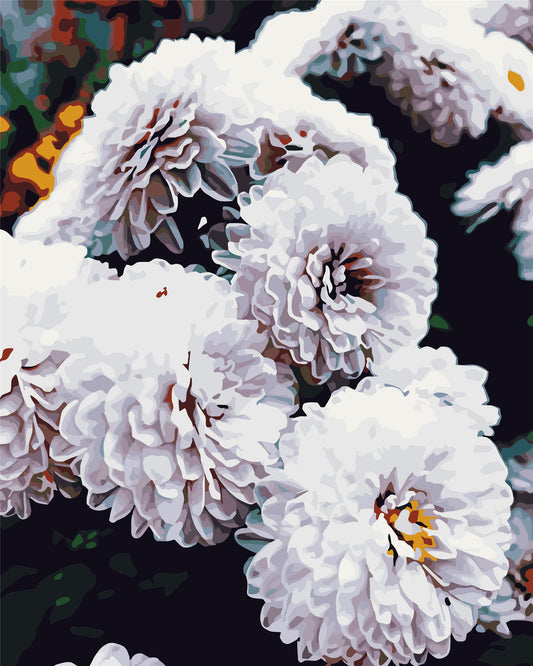 Flower Paint By Numbers Kits UK WH6195