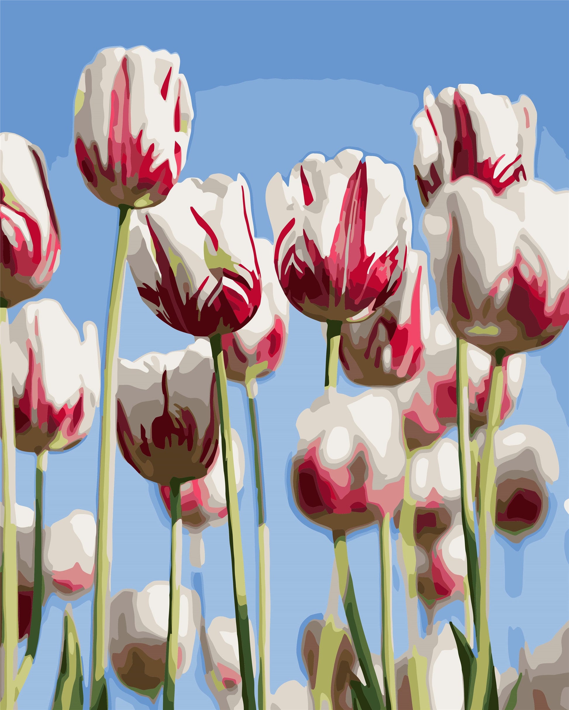 Flower Paint By Numbers Kits UK WH6197