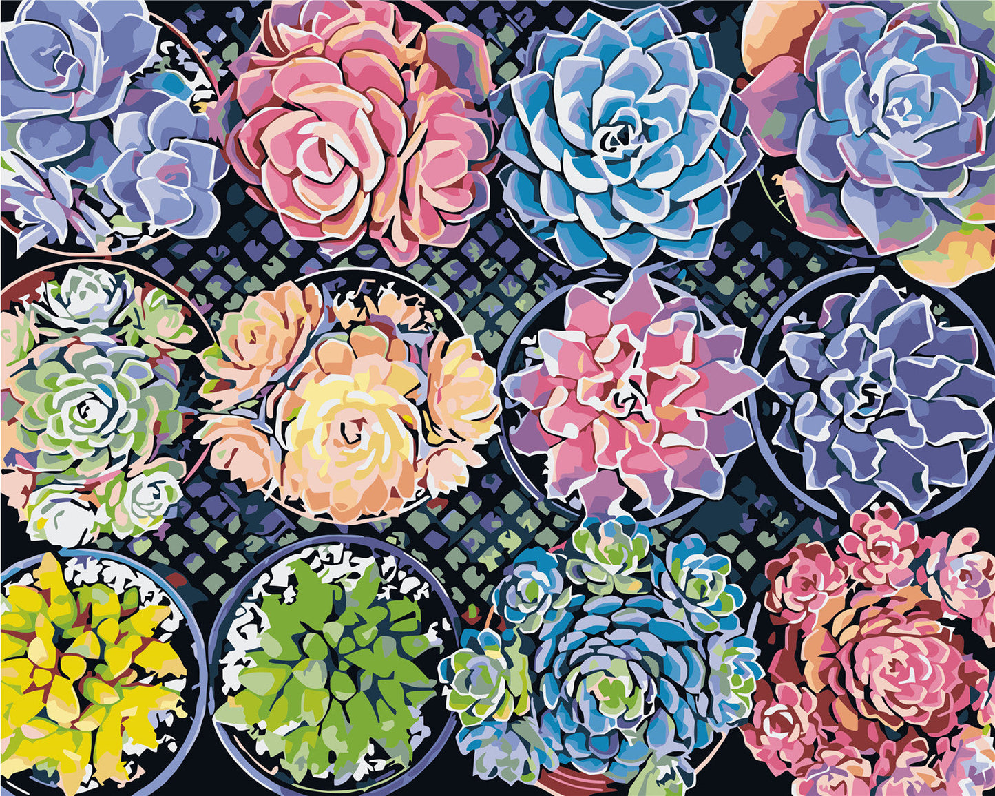 Flower Paint By Numbers Kits UK WH6200