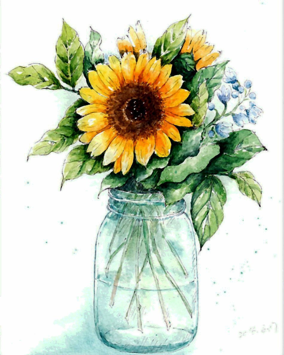 Flower Paint By Numbers Kits UK For Adult WM-105
