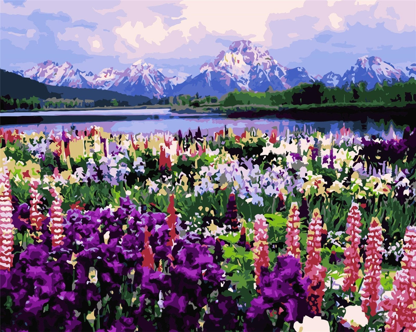 Natural Paint By Numbers Kits UK For Adult WM-153