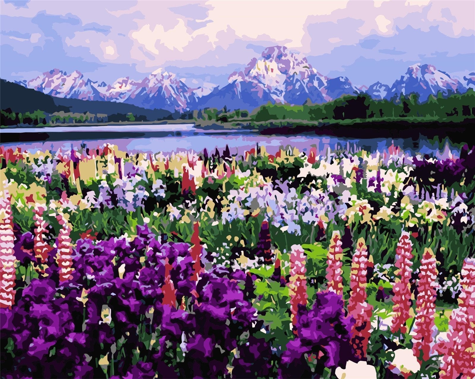 Natural Paint By Numbers Kits UK For Adult WM-153