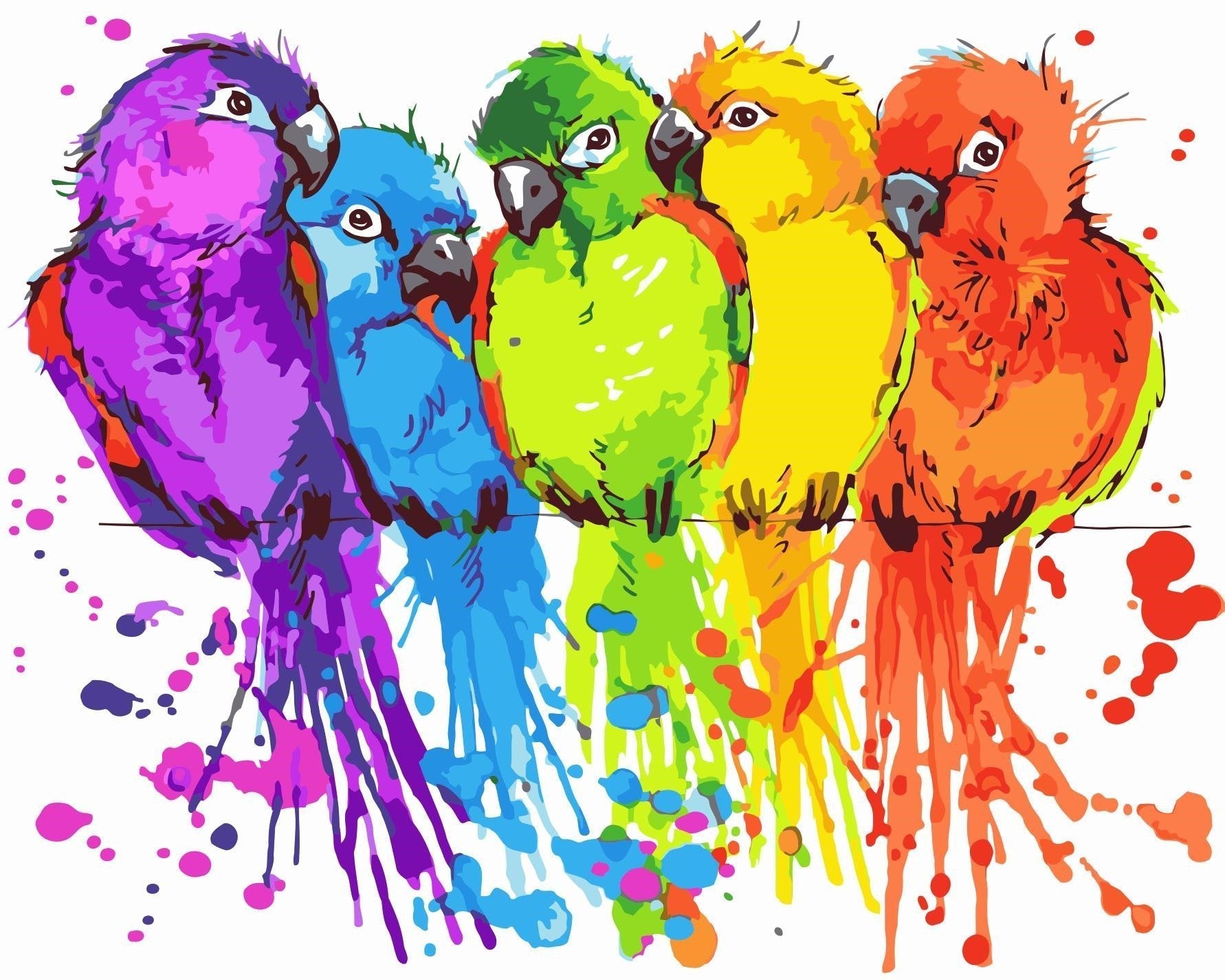 Bird Paint By Numbers Kits UK For Adult WM-236