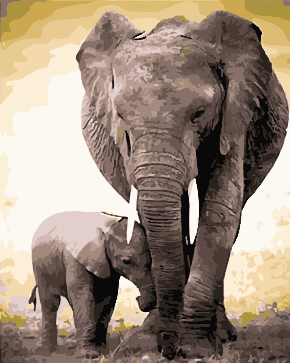 Animal Paint By Numbers Kits UK For Adult WM-712