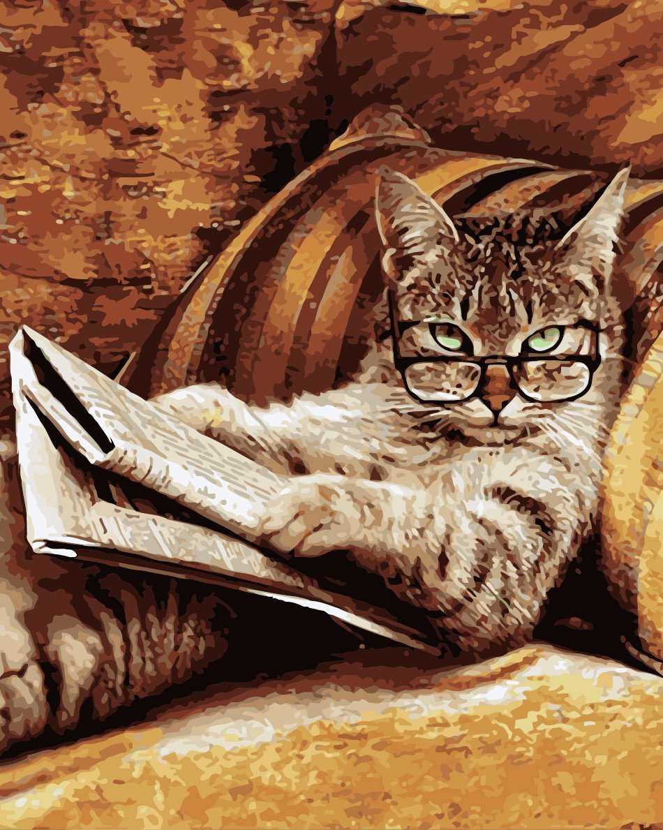 Cat & Dog Paint By Numbers Kits UK WM729