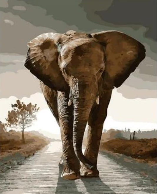 Animal Paint By Numbers Kits UK XQ1975