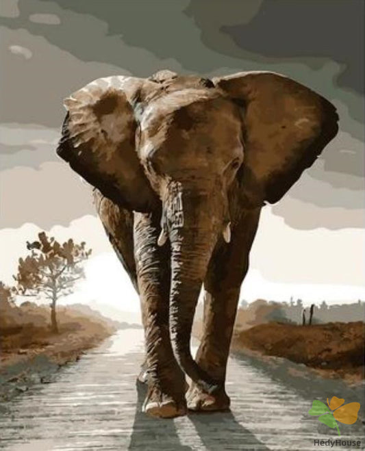 Animal Paint By Numbers Kits UK XQ1975