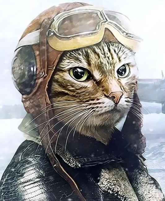 Cat & Dog Paint By Numbers Kits UK XQ3175