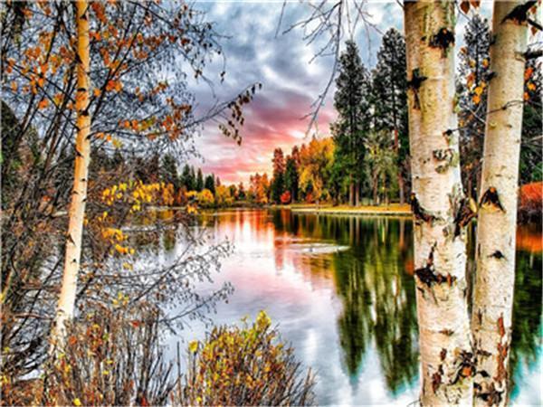 Natural Paint By Numbers Kits UK For Adult Y5222