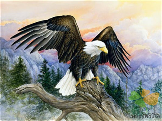 Birds Paint By Numbers Kits UK Y5383