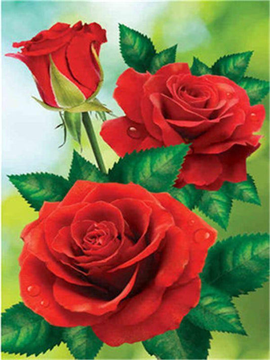 Flower Paint By Numbers Kits UK For Adult Y5434