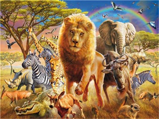 Animal Paint By Numbers Kits UK For Adult Y5488