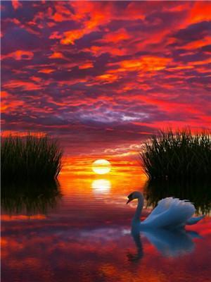 Landscape Sunset Paint By Numbers Kits UK With Frame Y5510