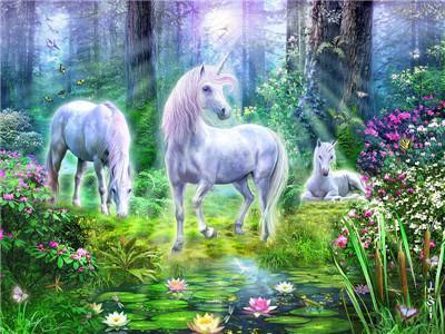 Animal Unicorn Paint By Numbers Kits UK For Adult Y5697