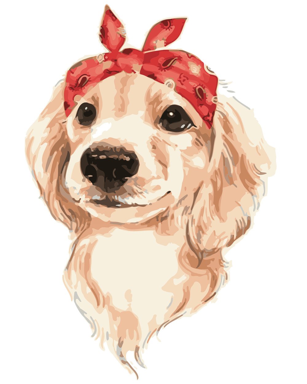 Cat & Dog Paint By Numbers Kits UK ZC3029