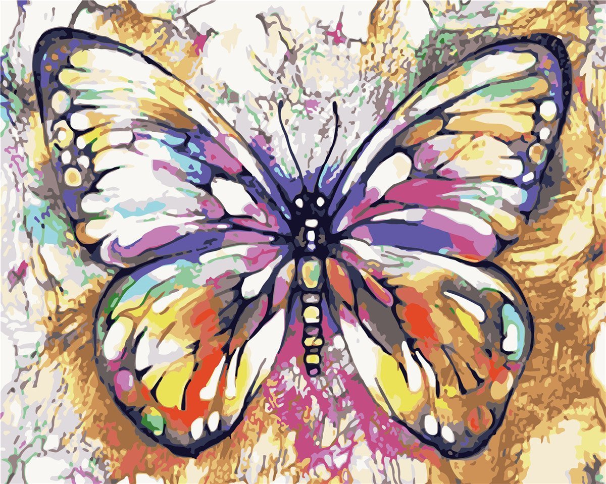 Bird Paint By Numbers Kits UK ZC3036