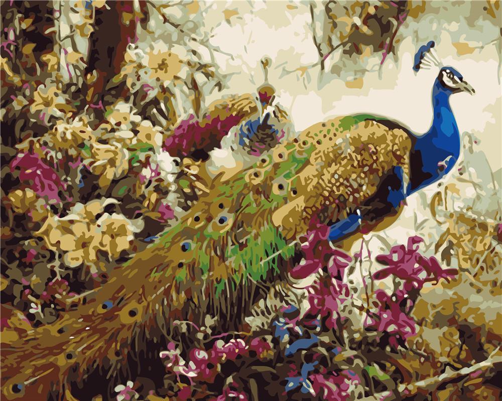 Bird Paint By Numbers Kits UK ZC3123