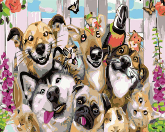 Cat & Dog Paint By Numbers Kits UK ZC3135