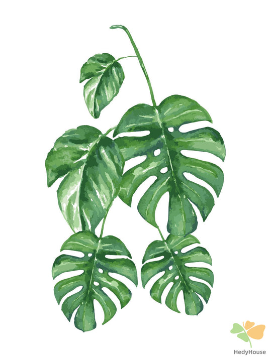 Flower Paint By Numbers Kits UK vm94673