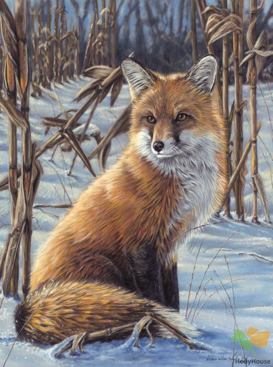 Animal Paint By Numbers Kits UK vm95827