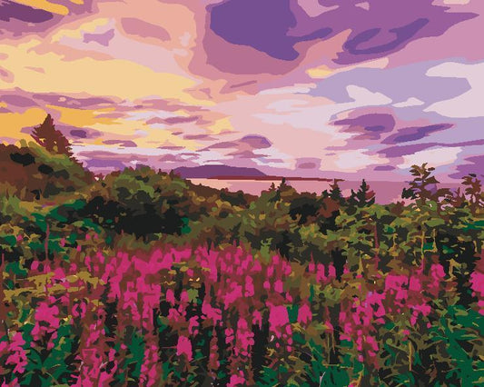 Natural Paint By Numbers Kits UK For Adult AN1820