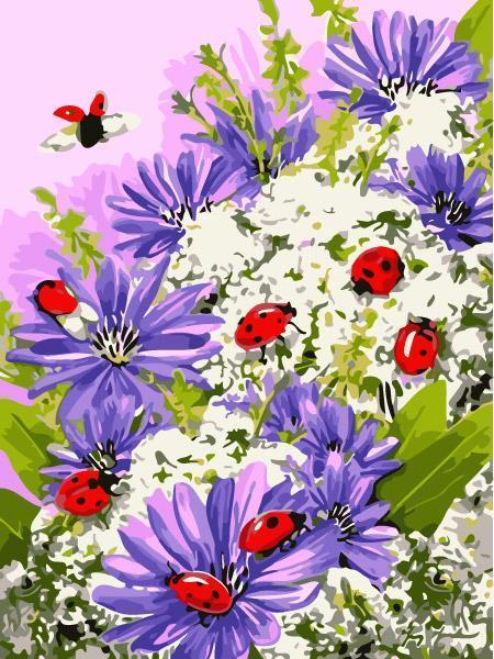 Flower Paint By Numbers Kits UK For Adult AN1905