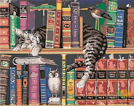 Still Life Paint By Numbers Kits UK BK5815