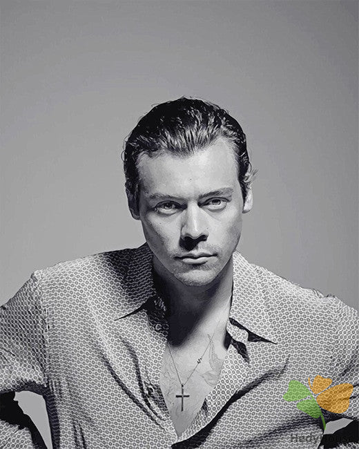 Portrait Paint By Numbers Kits UK BWH2302