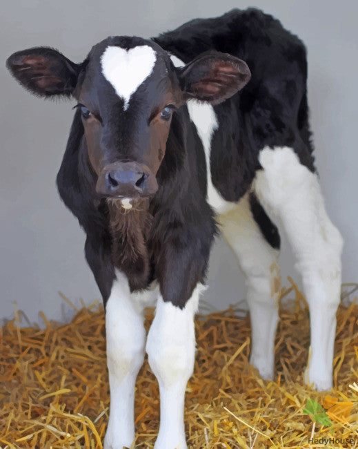 Animal Paint By Numbers Kits UK CW8852