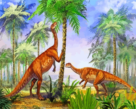 Animal Paint By Numbers Kits UK DIS5916