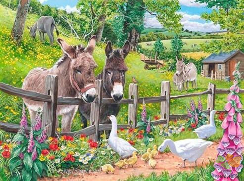 Animal Paint By Numbers Kits UK DOK5834