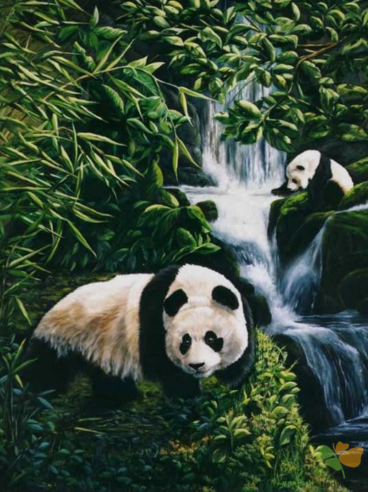 Animal Paint By Numbers Kits UK DP46007