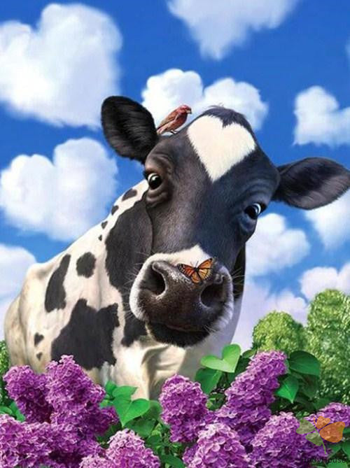 Animal Paint By Numbers Kits UK DP59055