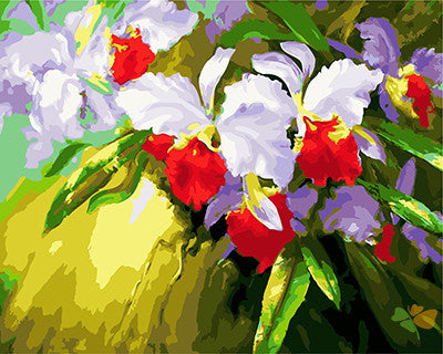 Flower Paint By Numbers Kits UK GX21013