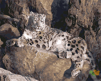 Animal Paint By Numbers Kits UK GX21069