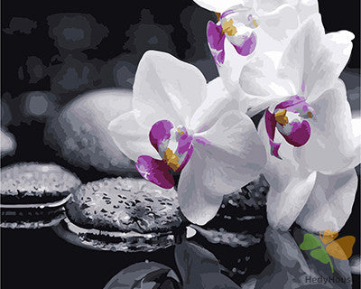 Flower Paint By Numbers Kits UK GX21140