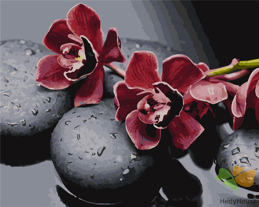 Flower Paint By Numbers Kits UK GX21155