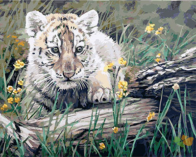 Animal Paint By Numbers Kits UK GX21417