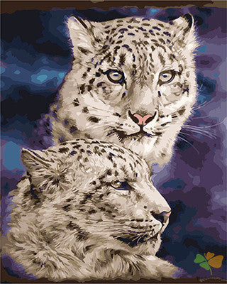 Animal Paint By Numbers Kits UK GX21442