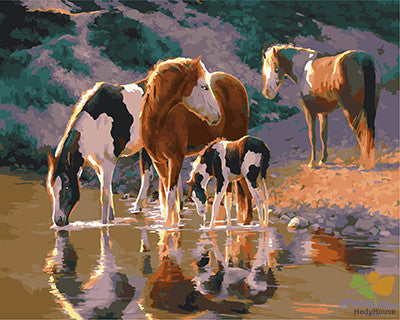 Animal Paint By Numbers Kits UK GX21629