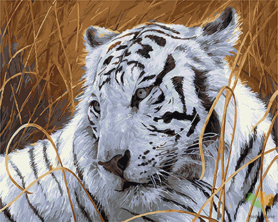 Animal Paint By Numbers Kits UK GX21676