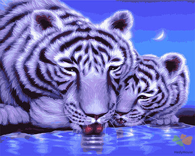 Animal Paint By Numbers Kits UK GX21700