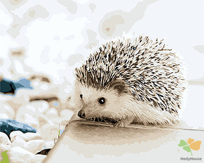 Animal Paint By Numbers Kits UK GX21716