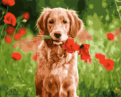 Cat & Dog Paint By Numbers Kits UK GX21746