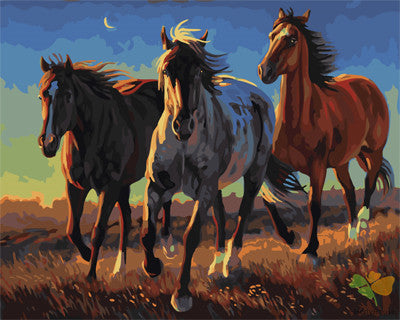 Animal Paint By Numbers Kits UK GX21863